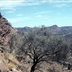 1976: Nicola in Australia (Flinders Ranges)